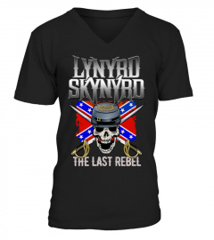 Lynyrd Skynyrd BK (86)