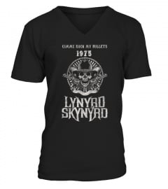 Lynyrd Skynyrd BK (78)