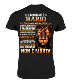 Non È Mario