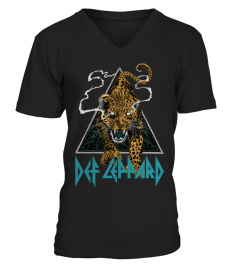 Def Leppard 30 BK