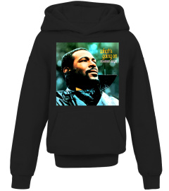 Marvin Gaye BK (3)