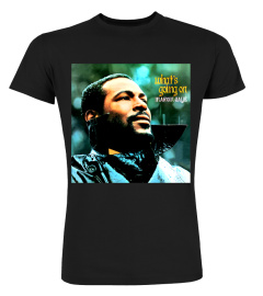 Marvin Gaye BK (3)