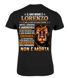 Non E Lorenzo