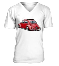 Clscr-020-WT.Volkswagen Beetle (23)