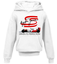 Ayrton Senna WT (9)