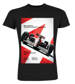 Ayrton Senna BK (13)