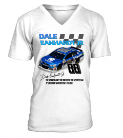 Dale Earnhardt Jr 08 WT