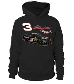 BK. Dale Earnhardt (5)