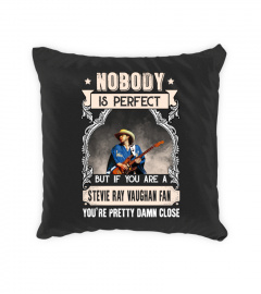 NOBODY IS PERFECT BUT IF YOU ARE A STEVIE RAY VAUGHAN FAN YOU'RE PRETTY DAMN CLOSE