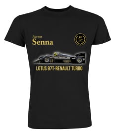 Ayrton Senna BK (8)