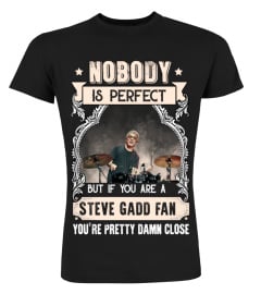 NOBODY IS PERFECT BUT IF YOU ARE A STEVE GADD FAN YOU'RE PRETTY DAMN CLOSE