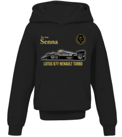 Ayrton Senna BK (8)