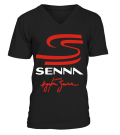 Ayrton Senna BK (33)