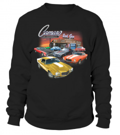 Chevy Camaro 2nd Gen Garage  Z28 RS SS USA1 IROC BK