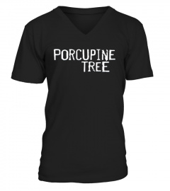 BK. Porcupine Tree 10