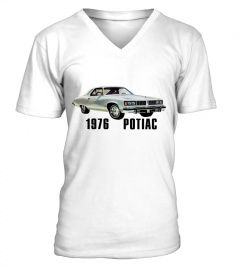 WT.Pontiac 1976 (4)