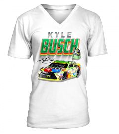 Kyle Busch 09 WT