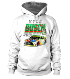 Kyle Busch 09 WT