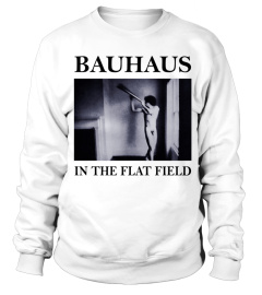 RK80S-393-WT. Bauhaus - In the Flat Field