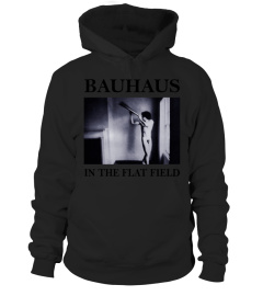 RK80S-393-WT. Bauhaus - In the Flat Field