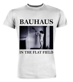 RK80S-393-WT. Bauhaus - In the Flat Field