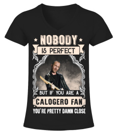 NOBODY IS PERFECT BUT IF YOU ARE A CALOGERO FAN YOU'RE PRETTY DAMN CLOSE