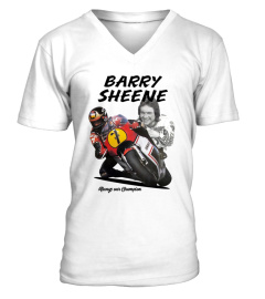 029. Barry Sheene WT