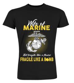 Wifi of marine