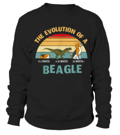 The evolution of a beagle