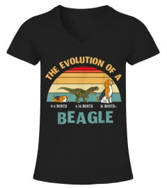 The evolution of a beagle