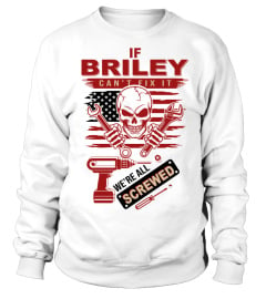 BRILEY D13