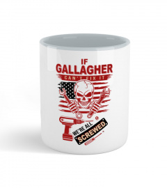GALLAGHER D13