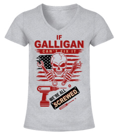 GALLIGAN D13