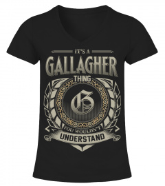 GALLAGHER D8