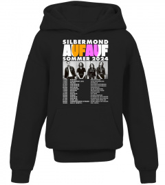 Silbermond Tour 2024