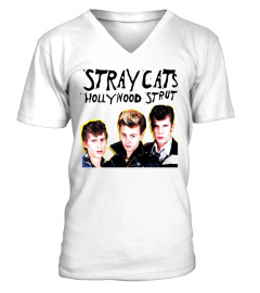 Stray Cats 0034 WT