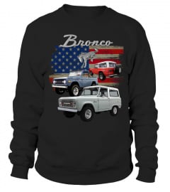Ford Bronco BK (14)