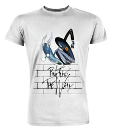 Pink Floyd WT (12)