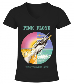 Pink Floyd BK (22)