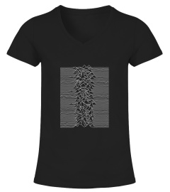 Joy Division 2 BK