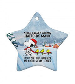 Snoopy Ornament - E007