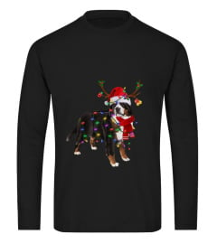 bernese mountine christmas new t shirt