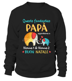 QUESTO FANTASTICO PAPÀ