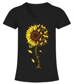 Horse sunflower 190325 5 V1
