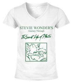 Stevie Wonder WT (24)