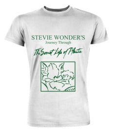 Stevie Wonder WT (24)