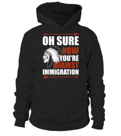 This is a discount for you : Oh sure now you're against immigration