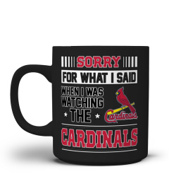 STL Sorry For What I Said T-Shirt And Mug