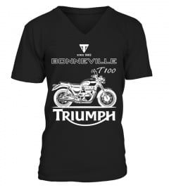 Triumph Bonneville T100 BK (4)
