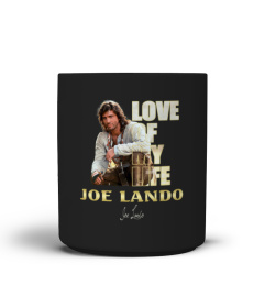 aaLOVE of my life Joe Lando